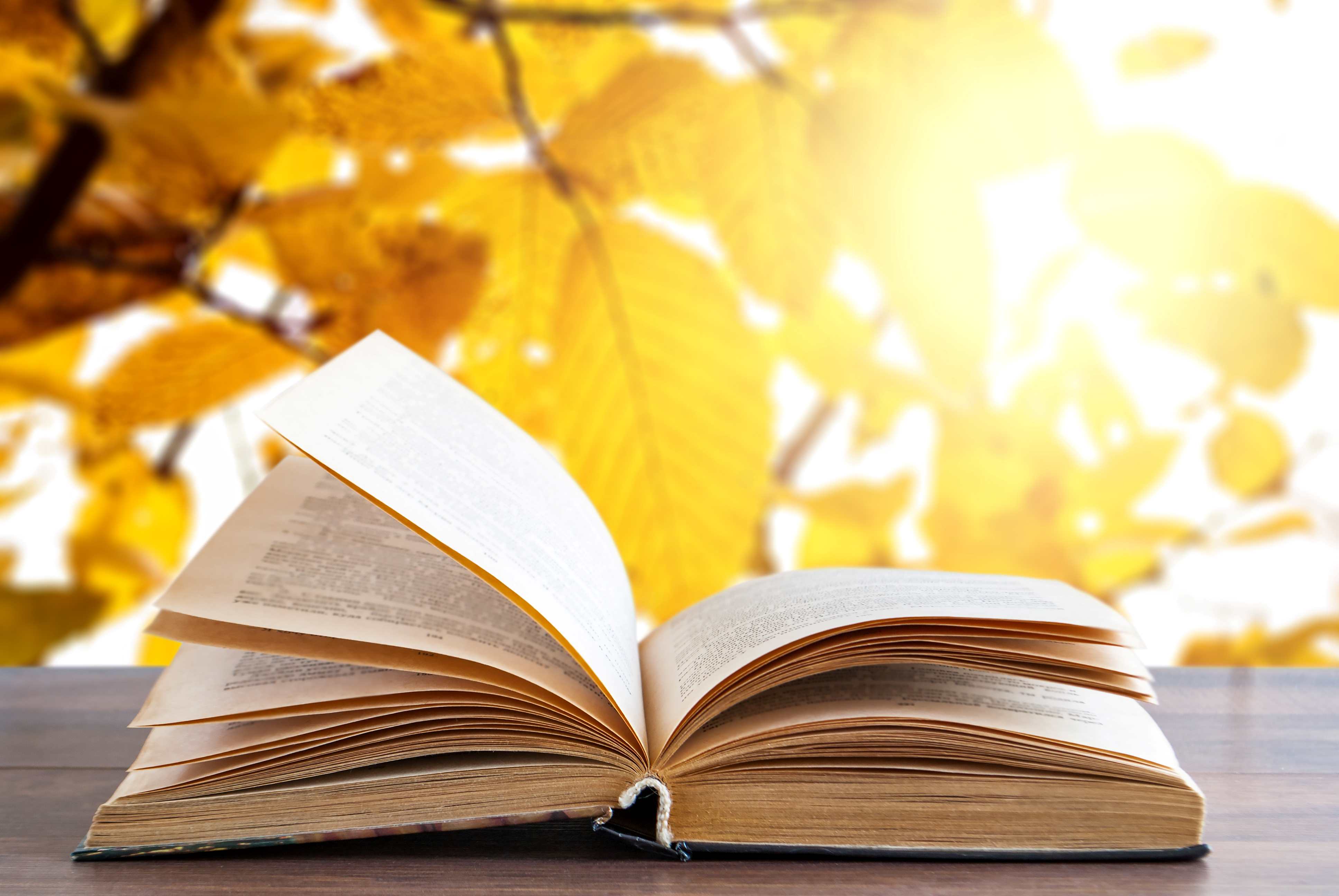Présentation de la Rentrée littéraire automne 2026 avec Olivier de la librairie Colbert : Vendredi 16 octobre à 18h15